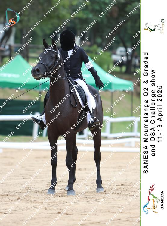 8946165 - umtcqs4edku2wxv