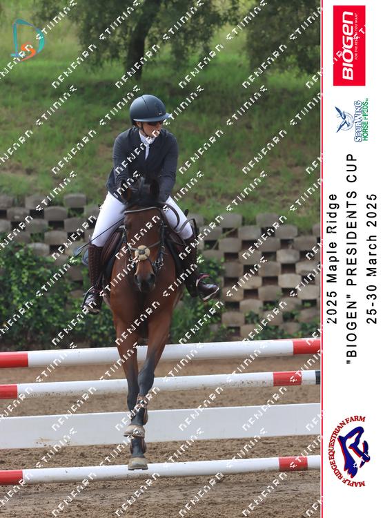8841647 - hymafyetr28ob4h