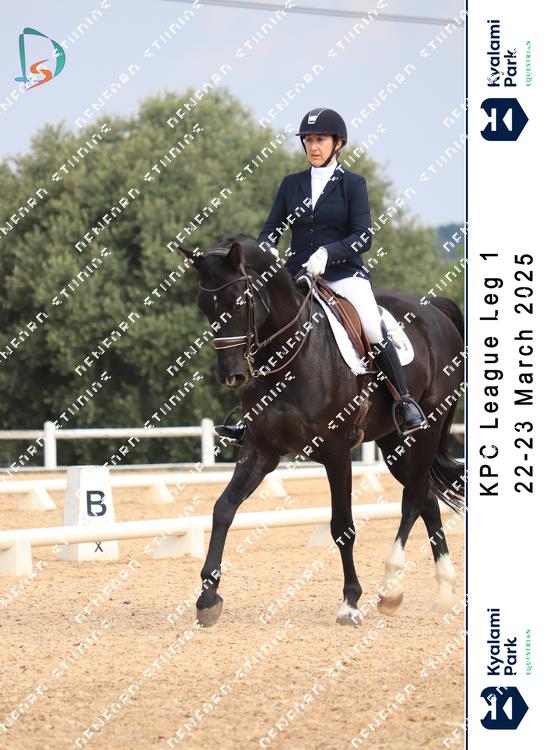 8791788 - erwyd6kneerdi3x