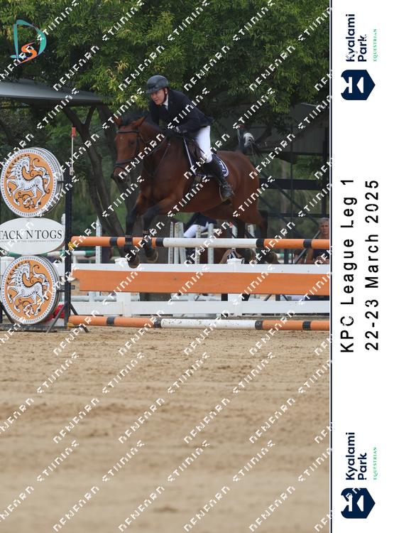 8766223 - ehv4jm373afp9ic