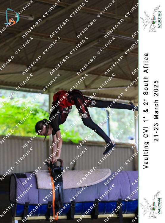8779023 - mbnz2j4tfp8yvfn
