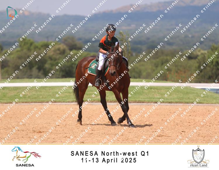 8977560 - saxgosa53fin3m8