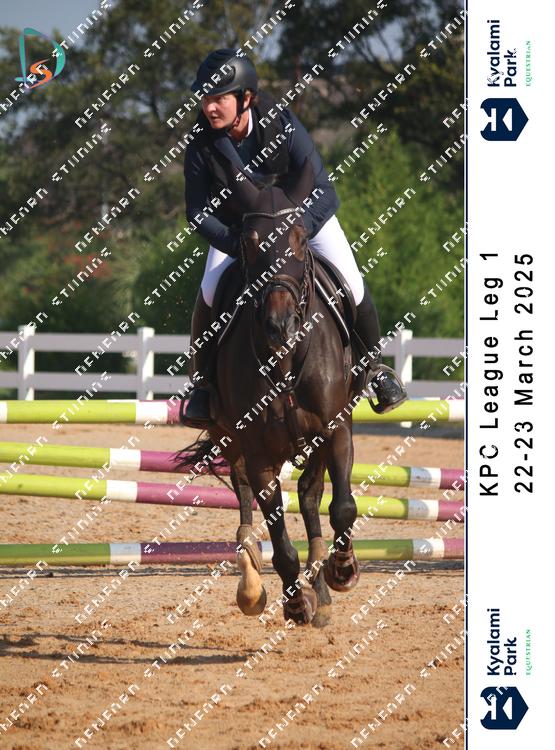 8752856 - zdeparrd9evifuu
