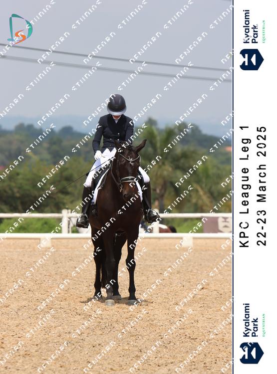 8784873 - pwqxgmtvquc9qwt