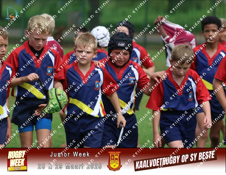 8833276 - 8yafxyktak4wdxt
