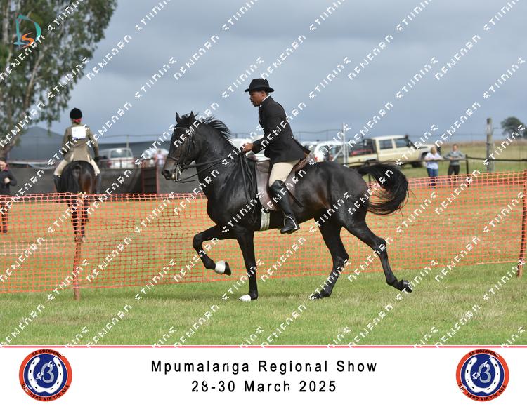 8850623 - hegeu62x8hmwaee