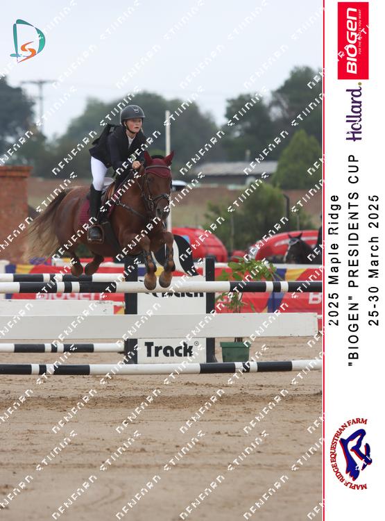 8845126 - skjhyxxxi56gudt