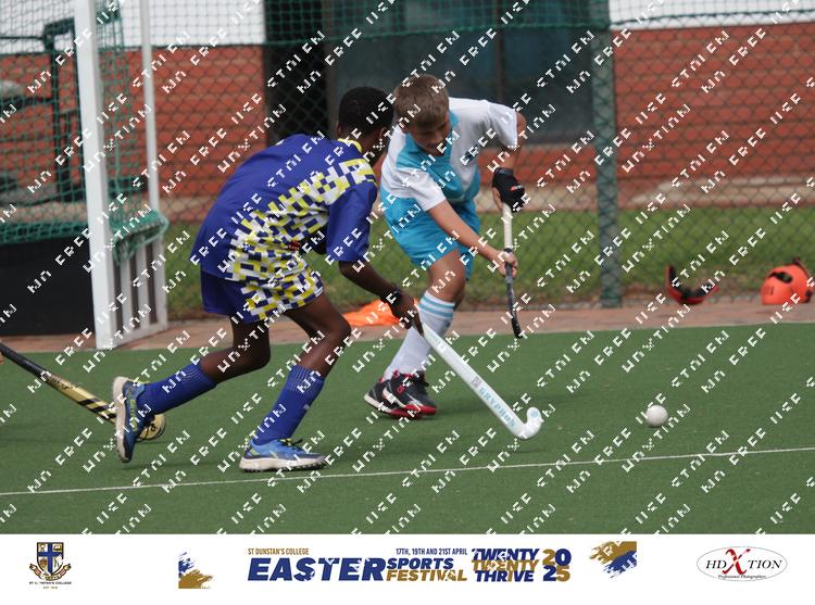 8918203 - 5zwvb746na2evrf