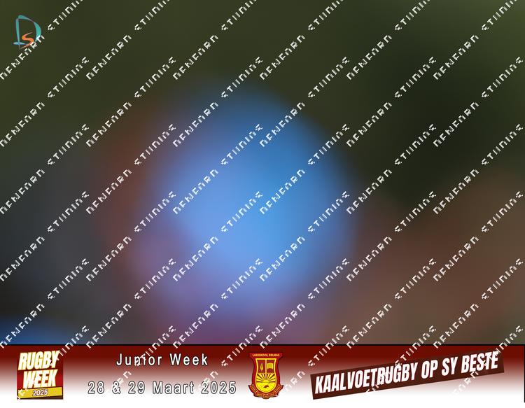 8834168 - xyr8bcmayikx7vg