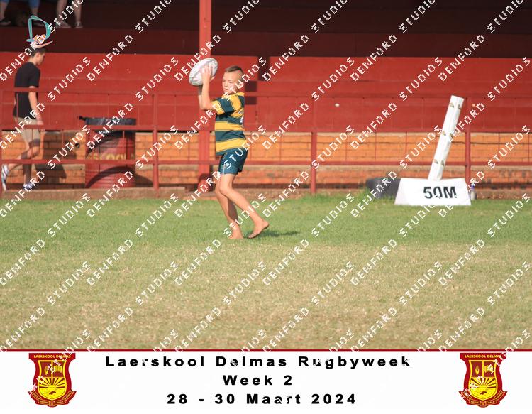 4977870 - mcgyd8wuicadcnw