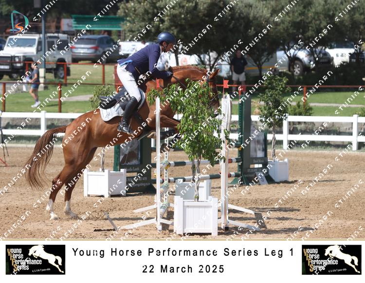 8761307 - tfdxdyn5i4eq26n