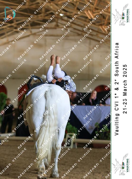 8799004 - q4igktjvlk4j4ue