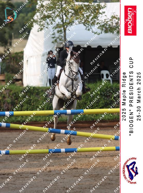 8803501 - 9uvzggx8zanerwe