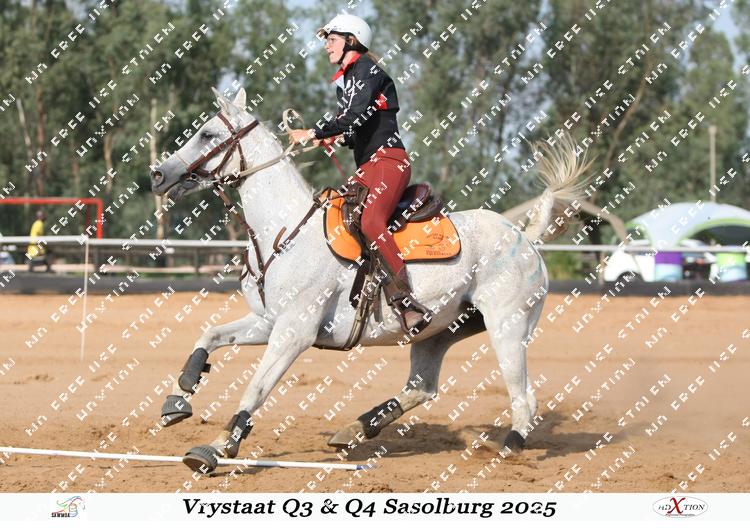 8447362 - zjkb4wzdepm8aud