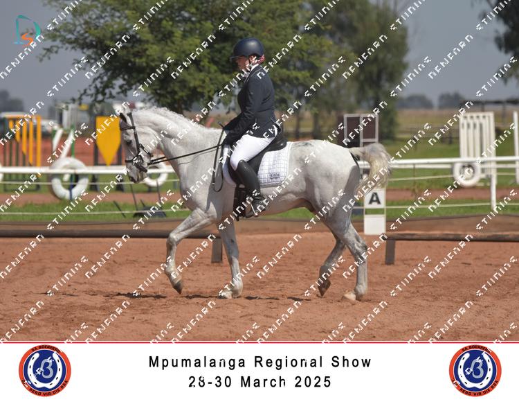 8853392 - gyyrznjgn4hwtsa