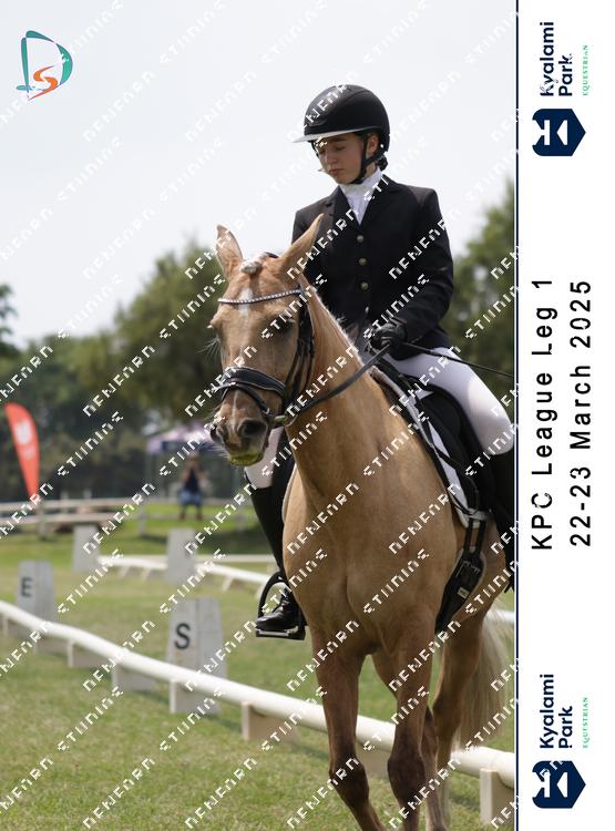 8758443 - cjq8b3pyrjyha3j