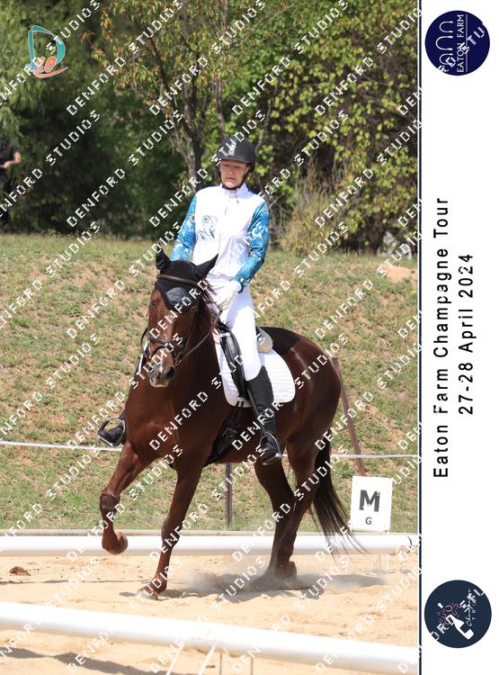 5295220 - ewv6xaglvgoedoy