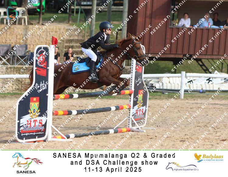 9025236 - 82bp3qf3zog5jrt