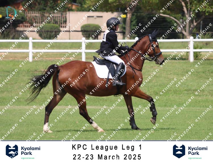 8765667 - h75hip6ztzahvic
