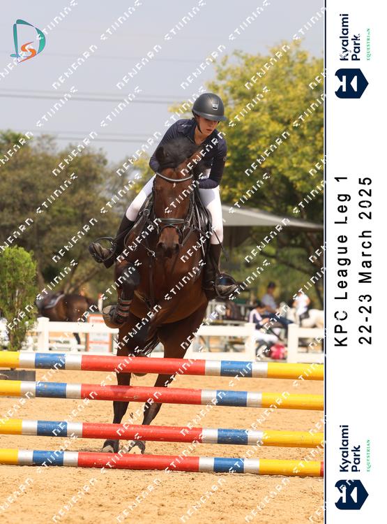 8794423 - 2caizevdjbq36bh