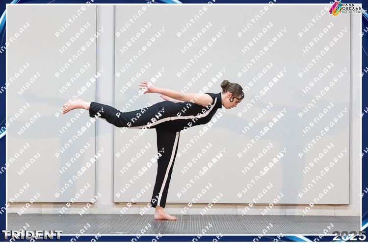 9253683 - zhtdaxmx6fhuann