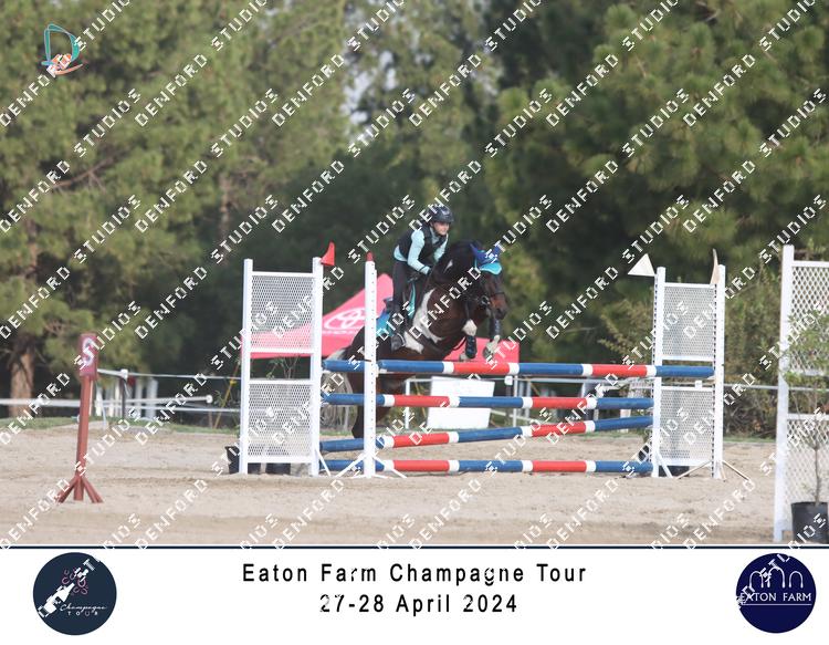 5300736 - asdei9t4u6q8ap5