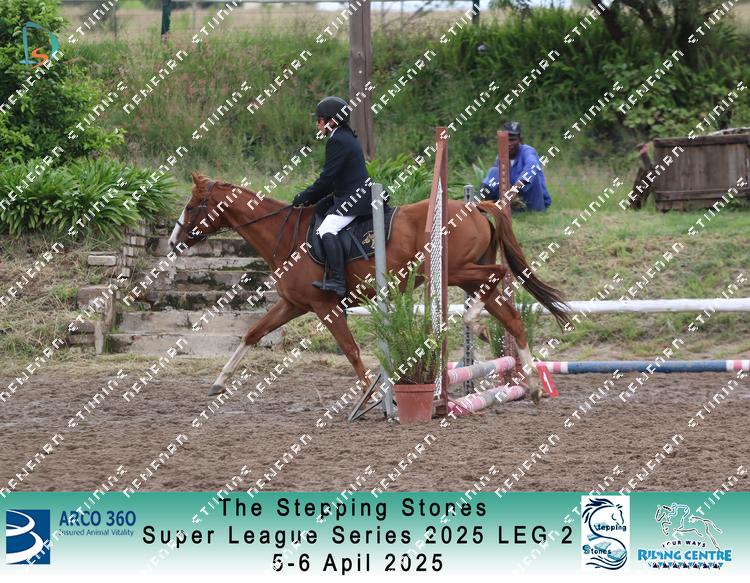 8903287 - e6i2vlhuawtn3cz
