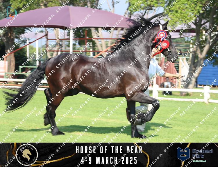 8594903 - ukffyr2zl7mdati
