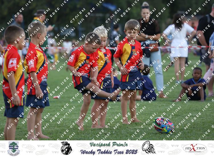 9033435 - wfq9ckypzmzbipm