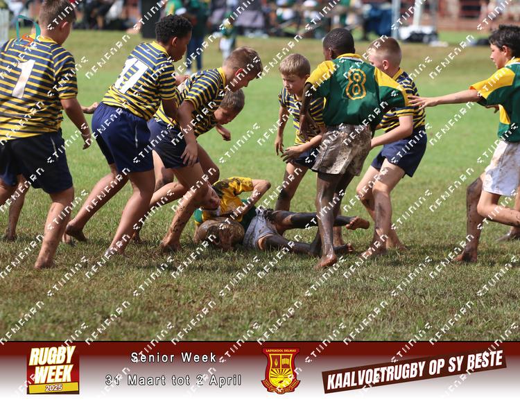 8880440 - cpaogcpwf243koa