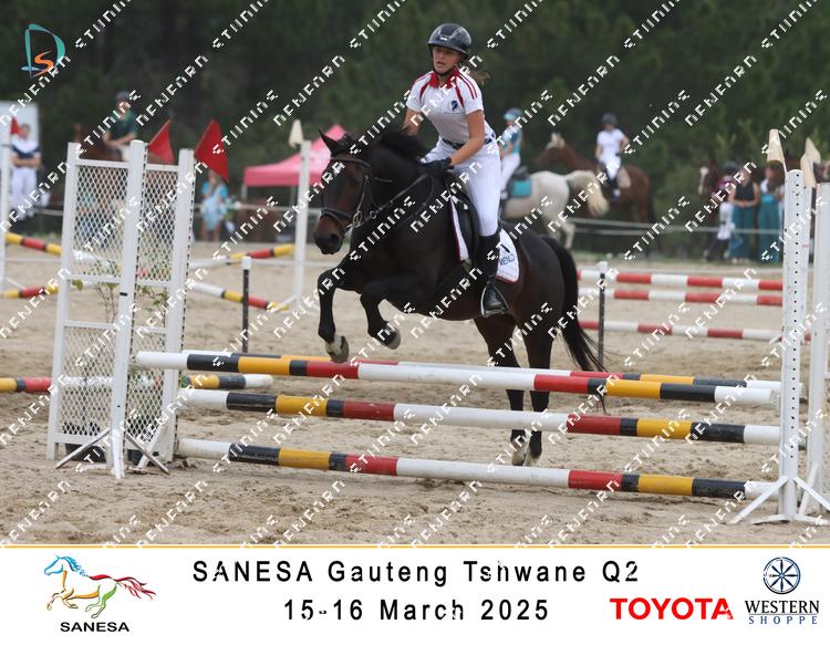 8731547 - terknuawfwv5ha9