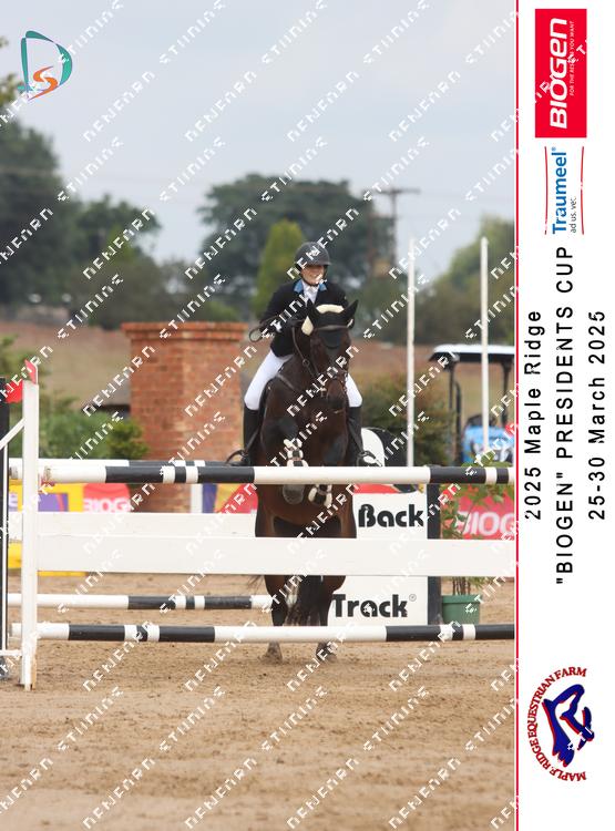8847679 - 3hcgv9ixjdu8awa