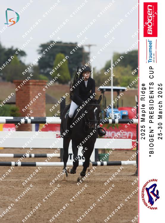 8847121 - raez24gy2hsd3kt