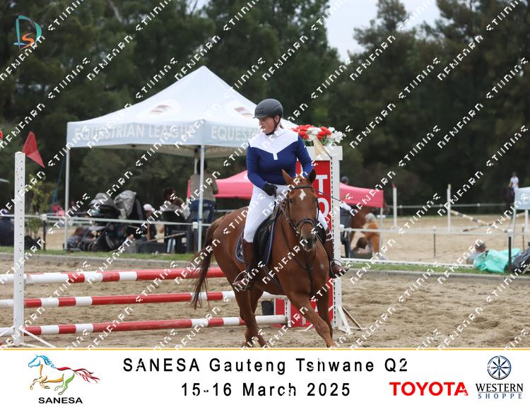 8732019 - sqpfmabvwkwxbay
