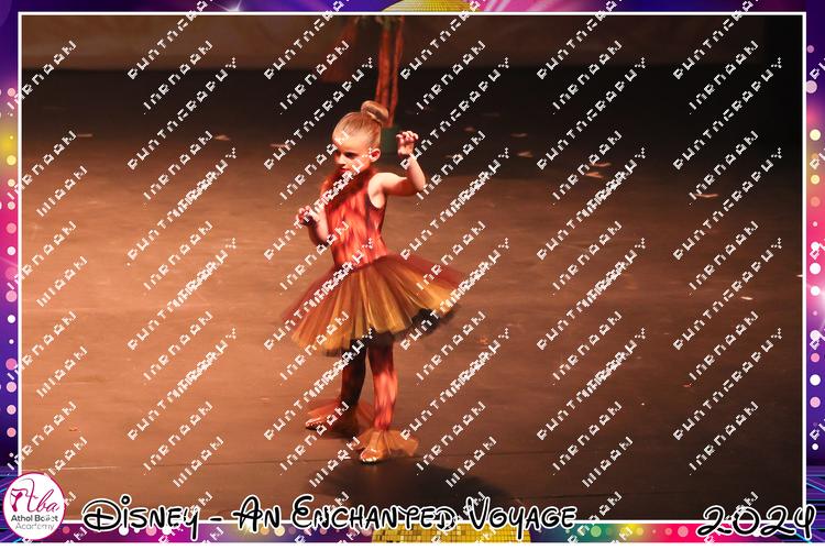 8191713 - n4gwh4a3lyd85ho