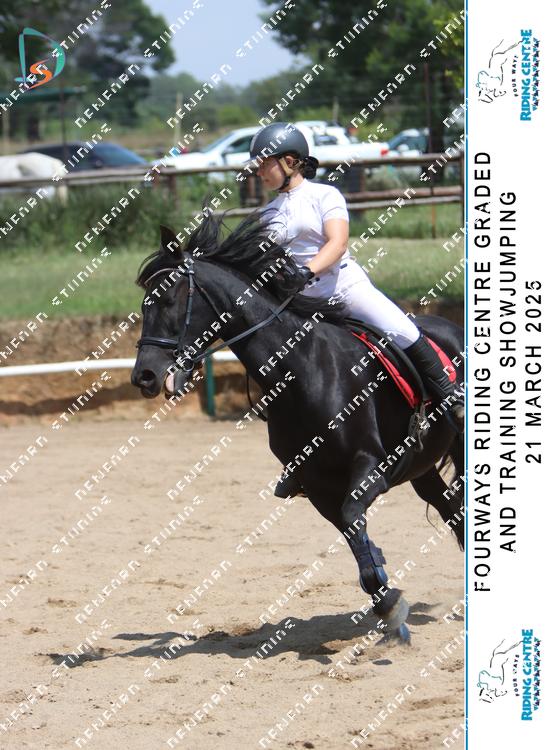8749295 - yquzoyb9etaaeni