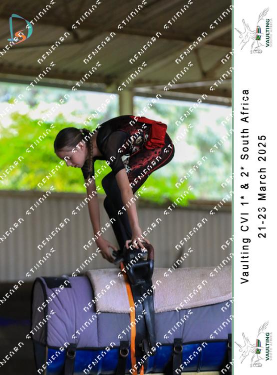 8778845 - a2y9li39kwemd6l