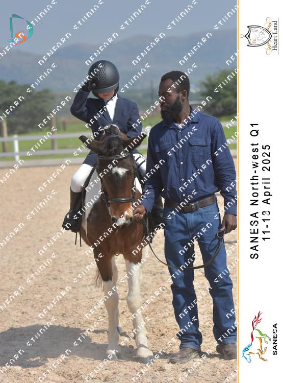 8983562 - septvjhbrvzqtq9
