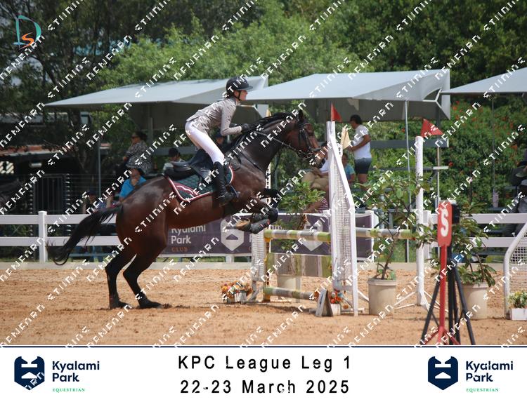 8754655 - ailywlr9akqtq4d