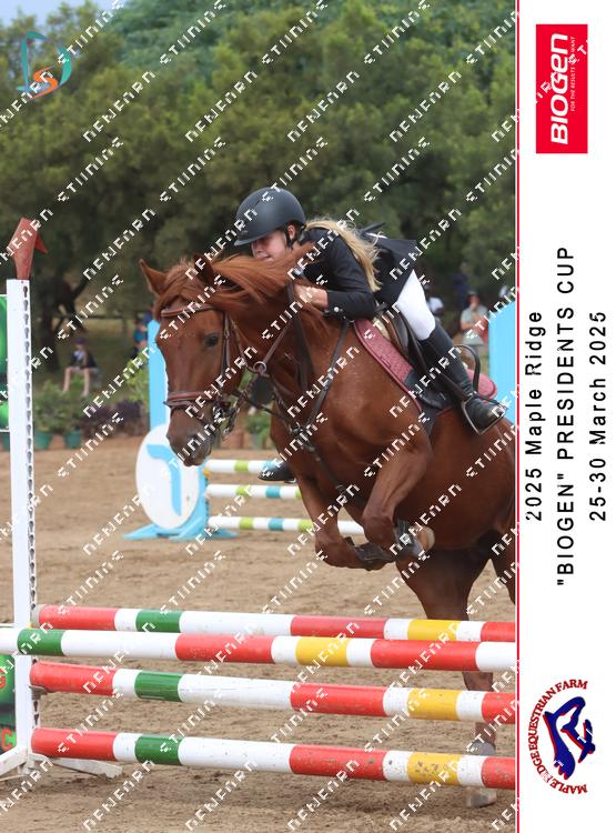 8861471 - nhmzp6fyzehvnze