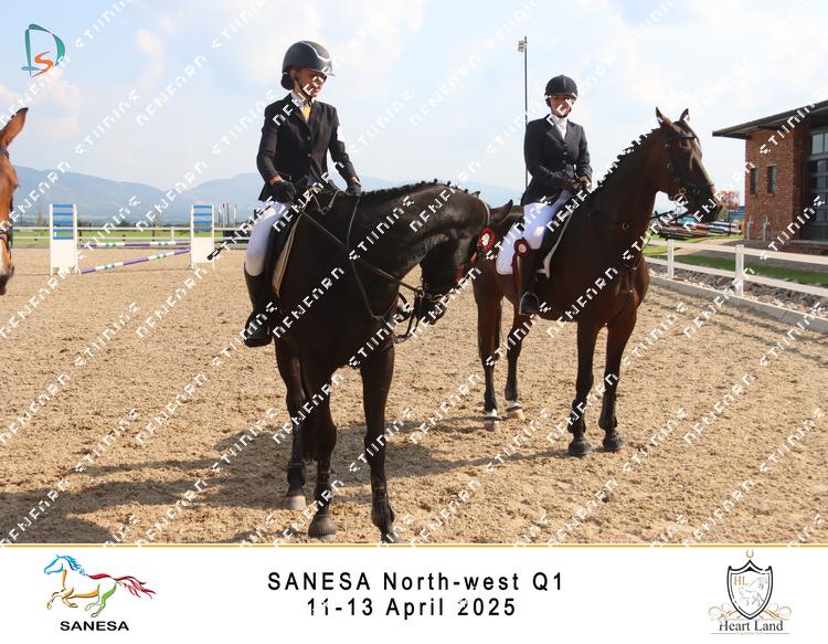 8938145 - hjv5lorfyvik5qh