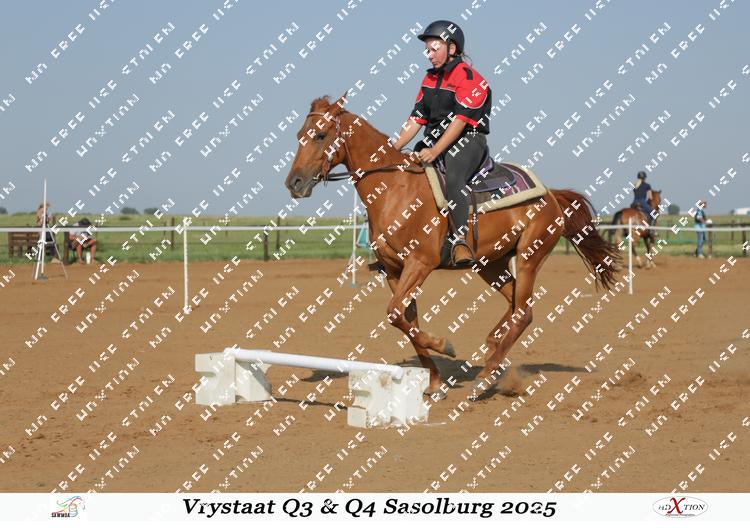 8498303 - fkwaytiqv8c2qms