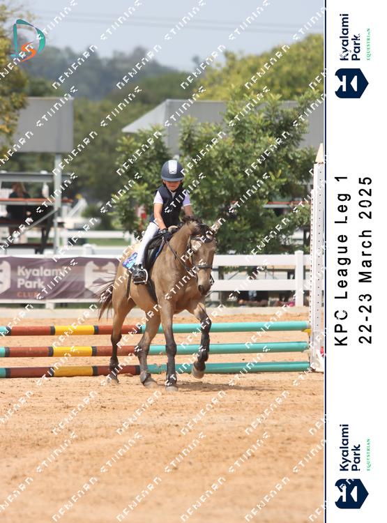 8795142 - uuwuvea2hbmhuoj