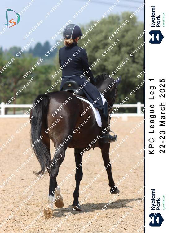 8785309 - ak2x6s9rgxbikgv