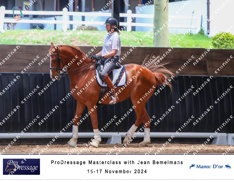8104164 - hejtunudvymamzv