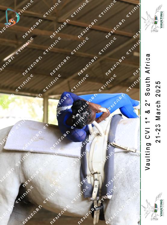 8752517 - n6q8w3aqaztuwdv