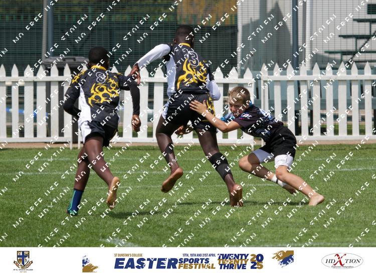 8883451 - nz8zed2edtcz7fn