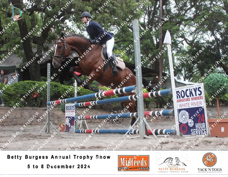 8252877 - durkagjhygsrxou