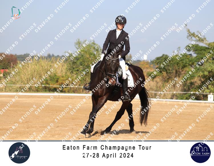 5293313 - eweswqx6suu2kax