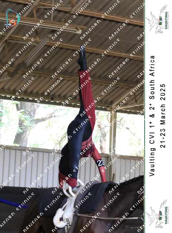 8752394 - 7kpdvpwd2mkug9m